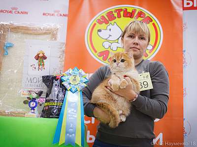 �������� ����� 3-4 ������� 2018  5-89-0512.jpg