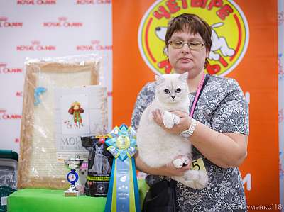 �������� ����� 3-4 ������� 2018  7-85-0510.jpg