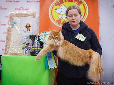 �������� ����� 3-4 ������� 2018  8-41-0509.jpg