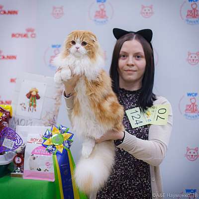 �������� ����� 3-4 ������� 2018  3-70-0193.jpg