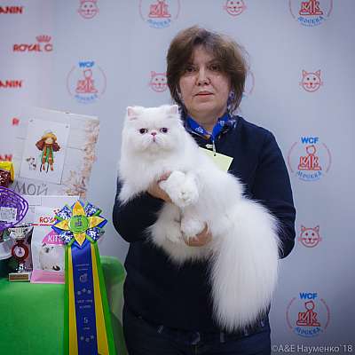 �������� ����� 3-4 ������� 2018  5-69-0189.jpg