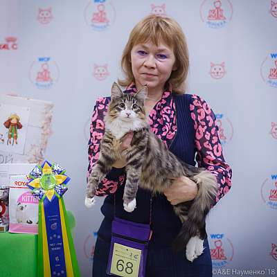 �������� ����� 3-4 ������� 2018  6-68-0186.jpg