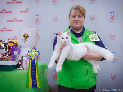 �������� ����� 3-4 ������� 2018  7-63-0183.jpg