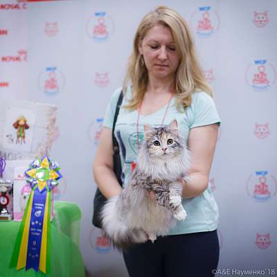 �������� ����� 3-4 ������� 2018  8-138-0182.jpg