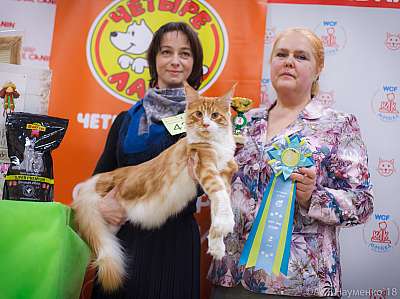 �������� ����� 3-4 ������� 2018  2-42-0701.jpg