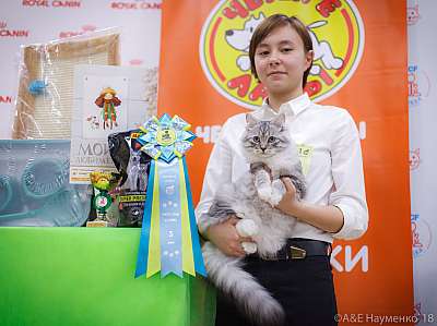 �������� ����� 3-4 ������� 2018  3-28-0698.jpg