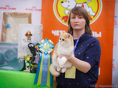 �������� ����� 3-4 ������� 2018  4-87-0697.jpg