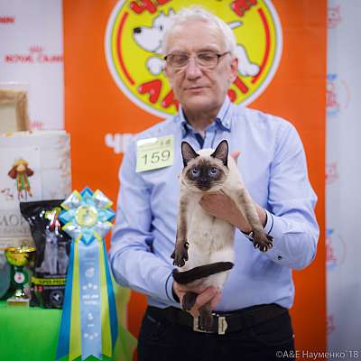 �������� ����� 3-4 ������� 2018  5-159-0696.jpg