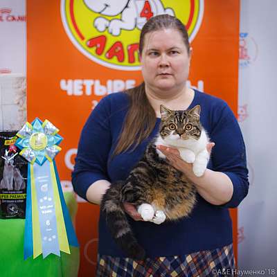 �������� ����� 3-4 ������� 2018  6-126-0694.jpg