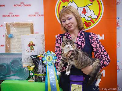 �������� ����� 3-4 ������� 2018  7-68-0691.jpg