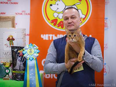 �������� ����� 3-4 ������� 2018  8-97-0690.jpg