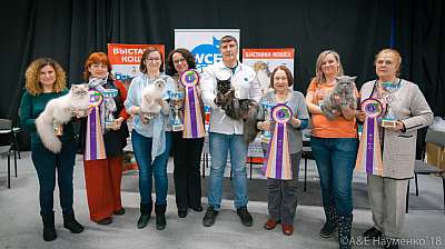 �������� ����� 17-18 ����� 2018