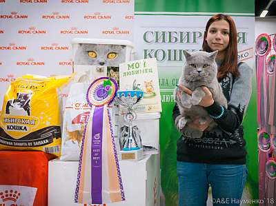 �������� ����� 17-18 ����� 2018