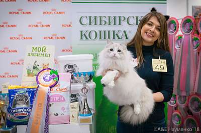 �������� ����� 17-18 ����� 2018