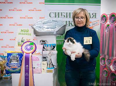 �������� ����� 17-18 ����� 2018