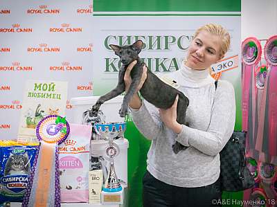 �������� ����� 17-18 ����� 2018