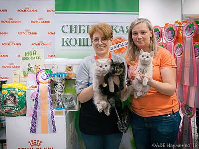 �������� ����� 17-18 ����� 2018