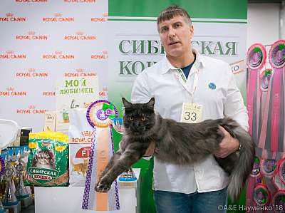 �������� ����� 17-18 ����� 2018