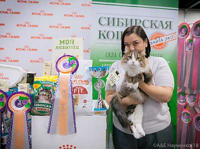 �������� ����� 17-18 ����� 2018