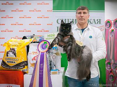 �������� ����� 17-18 ����� 2018