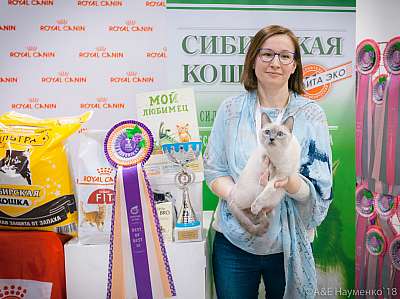 �������� ����� 17-18 ����� 2018