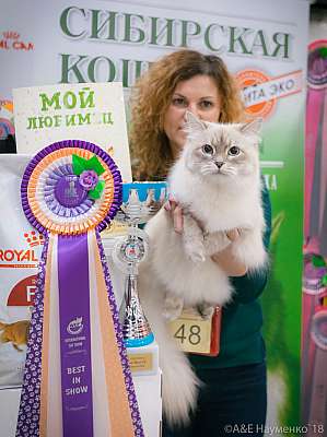 �������� ����� 17-18 ����� 2018