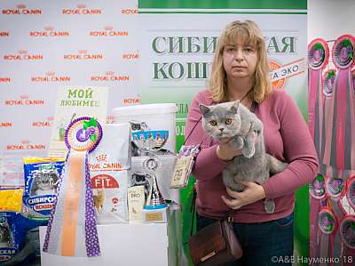 �������� ����� 17-18 ����� 2018