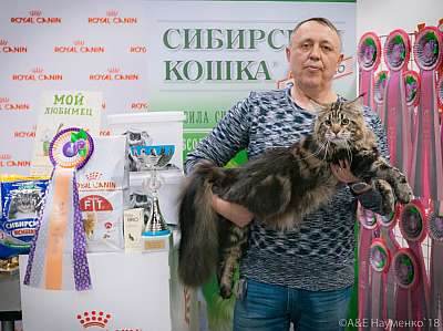 �������� ����� 17-18 ����� 2018