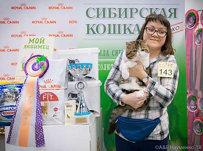 �������� ����� 17-18 ����� 2018