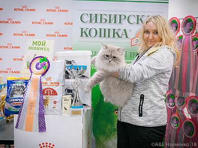 �������� ����� 17-18 ����� 2018