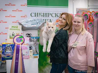 �������� ����� 17-18 ����� 2018