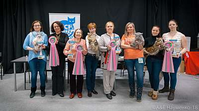 �������� ����� 17-18 ����� 2018