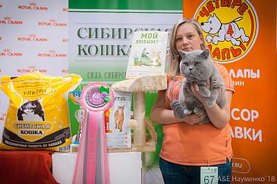 �������� ����� 17-18 ����� 2018