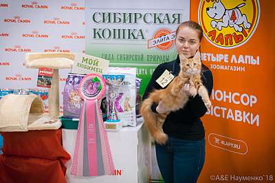 �������� ����� 17-18 ����� 2018