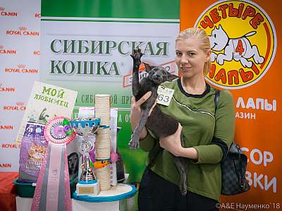 �������� ����� 17-18 ����� 2018