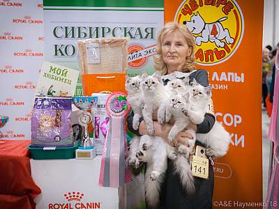 �������� ����� 17-18 ����� 2018