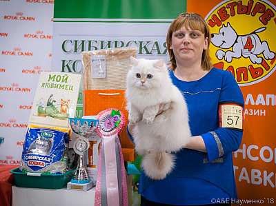 �������� ����� 17-18 ����� 2018