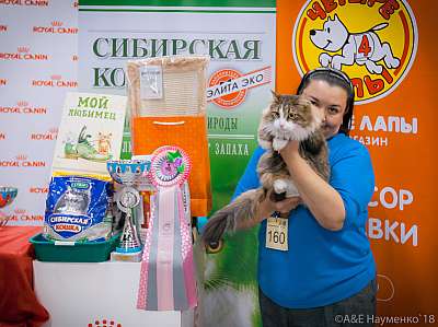 �������� ����� 17-18 ����� 2018