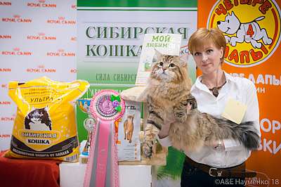 �������� ����� 17-18 ����� 2018