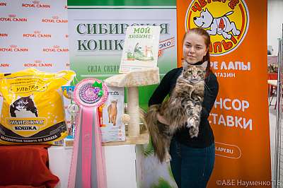 �������� ����� 17-18 ����� 2018