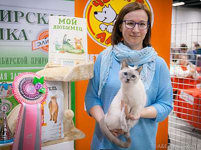 �������� ����� 17-18 ����� 2018