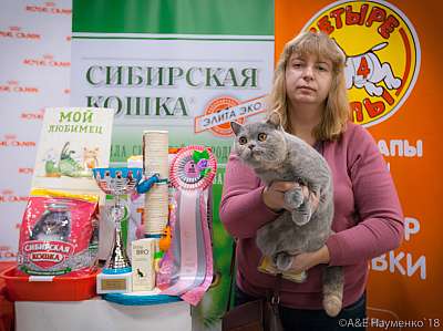 �������� ����� 17-18 ����� 2018