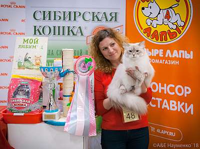 �������� ����� 17-18 ����� 2018