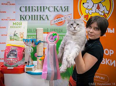 �������� ����� 17-18 ����� 2018