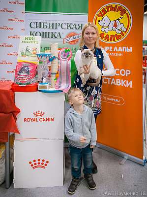 �������� ����� 17-18 ����� 2018