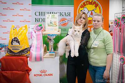 �������� ����� 17-18 ����� 2018