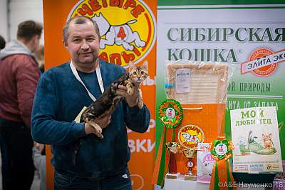 �������� ����� 17-18 ����� 2018