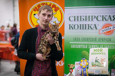 �������� ����� 17-18 ����� 2018