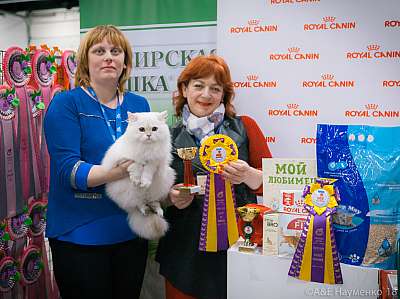 �������� ����� 17-18 ����� 2018