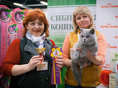 �������� ����� 17-18 ����� 2018